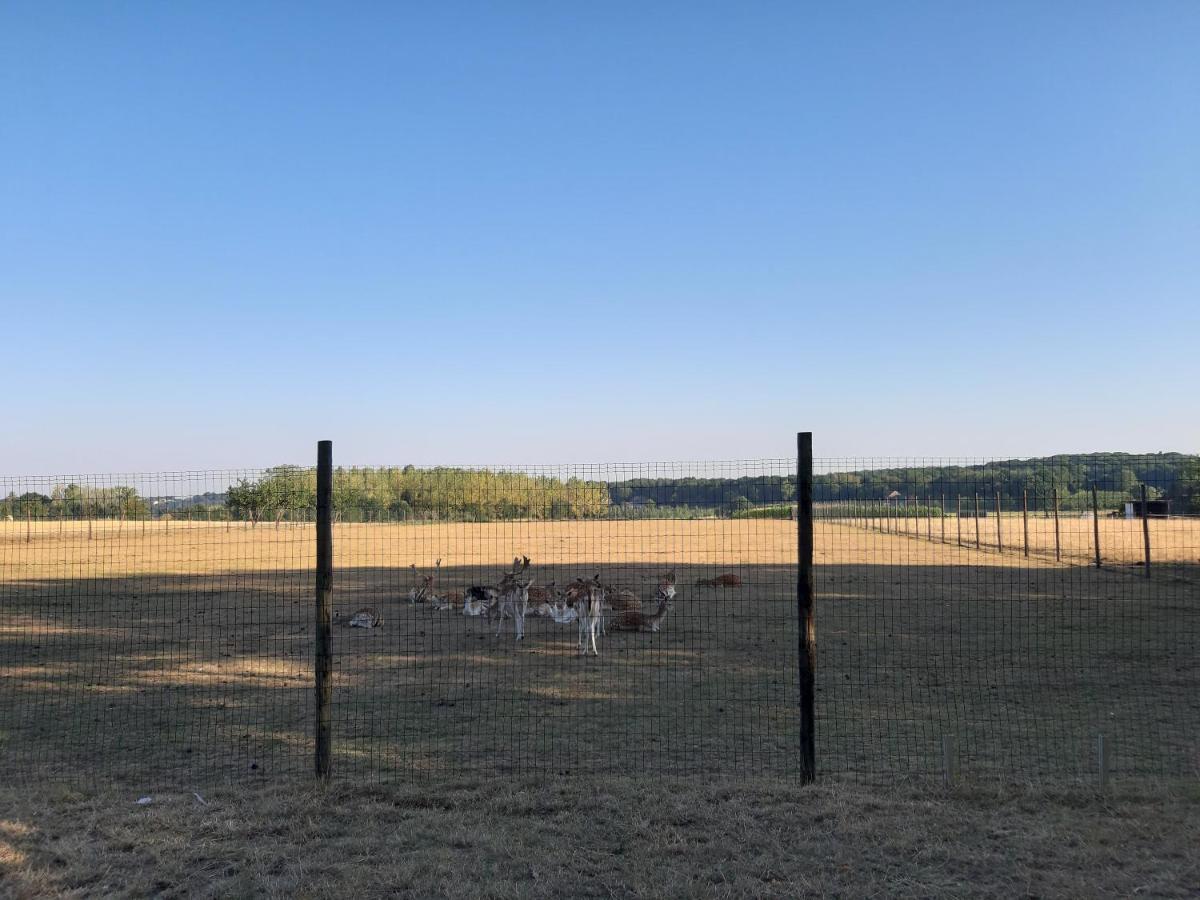 Lemen Huis Houwaart Tielt-Winge Luaran gambar